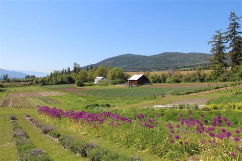 THE 10 BEST Things to Do in Enderby .